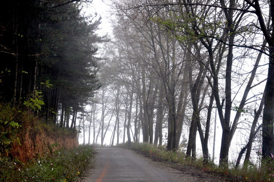 乡村道路