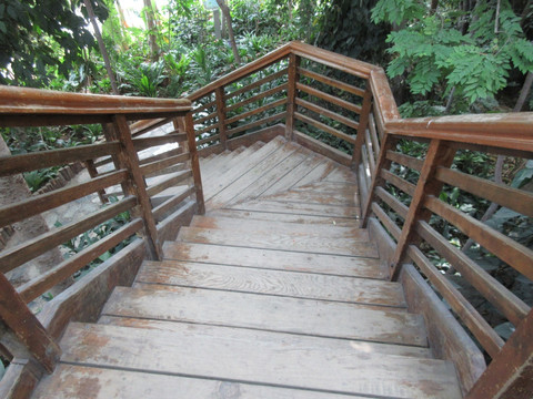 生态木楼梯
