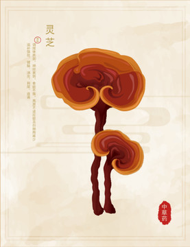 靈芝