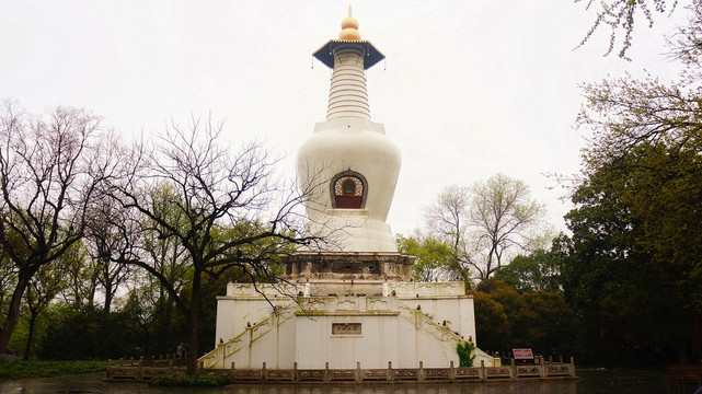 扬州瘦西湖白塔春景