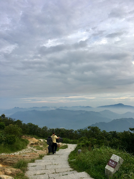 深圳梧桐山