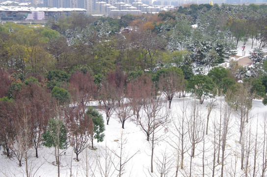 陕西西安大唐芙蓉园雪景