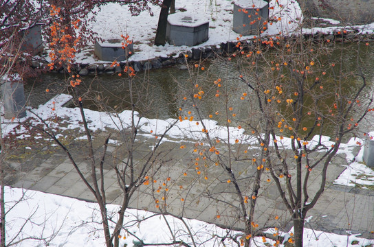 陕西西安大唐芙蓉园雪景