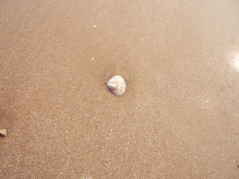 青岛海边风光