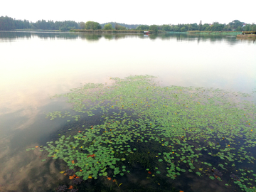 武汉东湖绿道风光