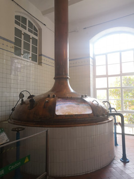 发酵桶