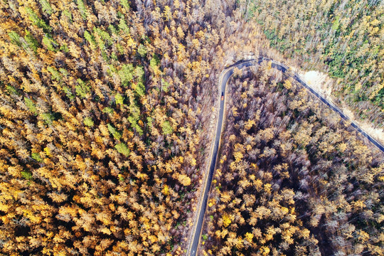 航拍森林公路秋景