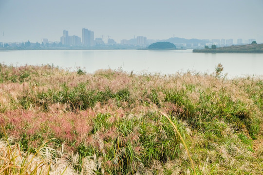 秋季风景