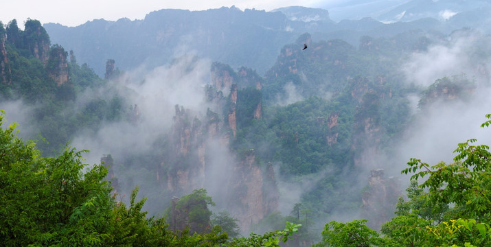 张家界高清全景图