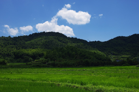 皖南小川藏线沿途风光