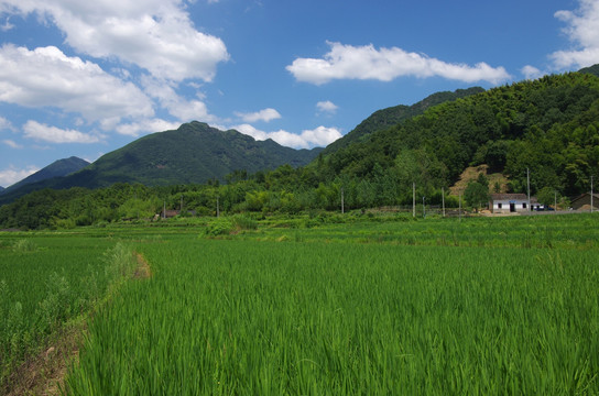 皖南小川藏线沿途风光