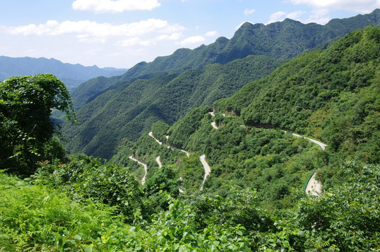 桃岭盘山公路