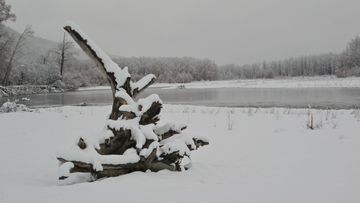 呼伦贝尔秋雪