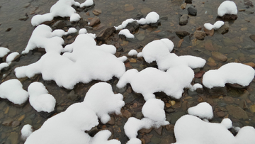 呼伦贝尔秋雪