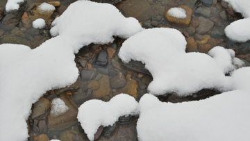 呼伦贝尔秋雪