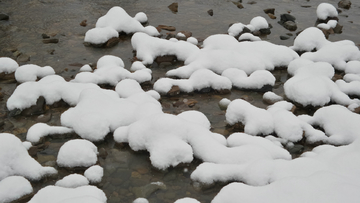 呼伦贝尔秋雪