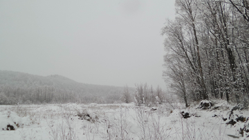 呼伦贝尔秋雪