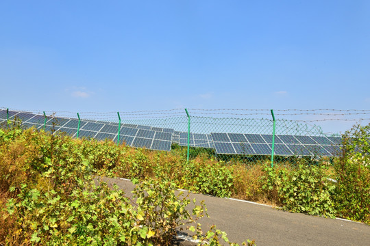 太阳能电板新农村示范园