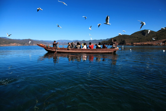 湖面海鸥小船