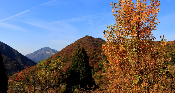 山野秋色