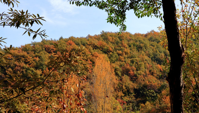 山野秋色