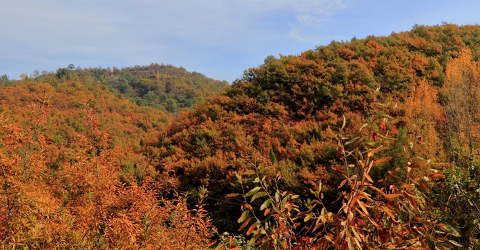 山野秋色