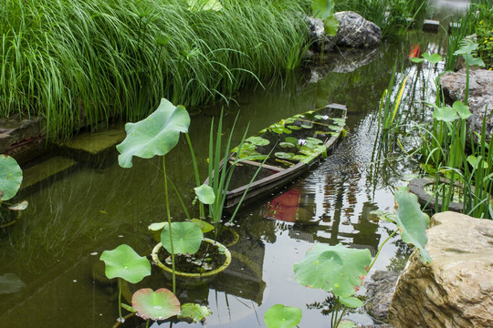 黄龙溪水景观