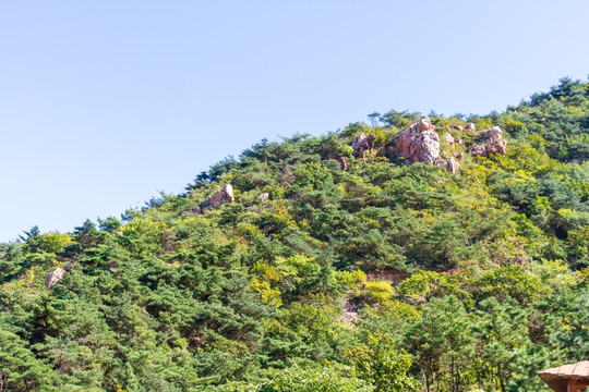 大连海之韵公园山峰一角