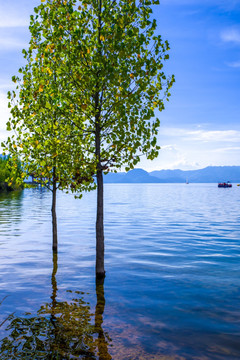 抚仙湖湿地