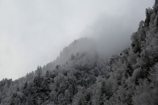 雪山