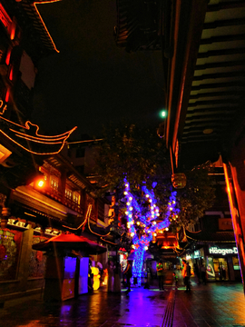 豫园老街夜景灯光