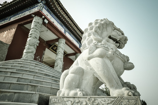 枣庄市峄城区大光明寺石狮