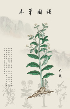 大戟