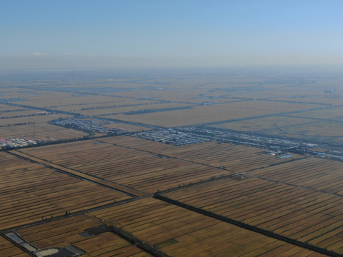 盘锦湿地公路航拍