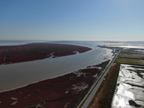 河口湿地航拍