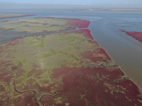 红海滩湿地航拍