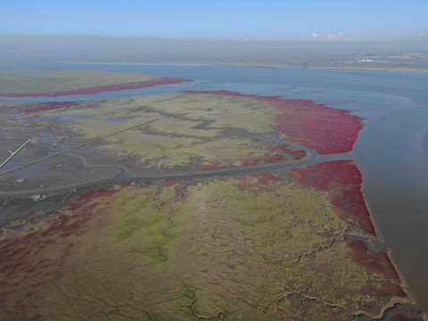 红海滩湿地航拍