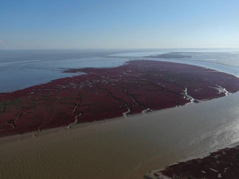 红海滩湿地航拍