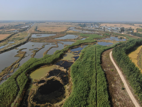 田野湿地航拍