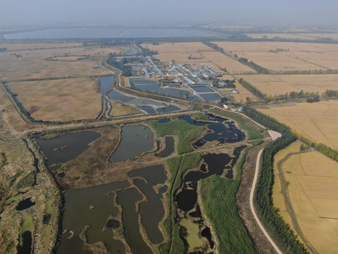 田野湿地航拍