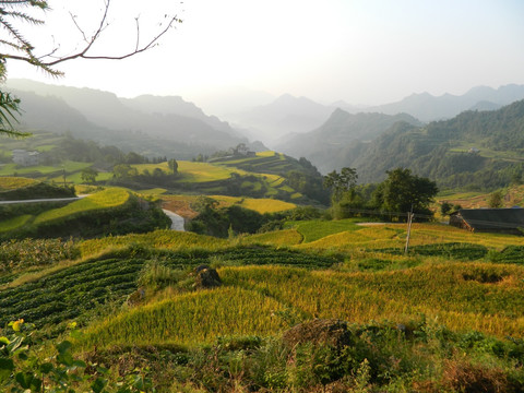 万亩梯田