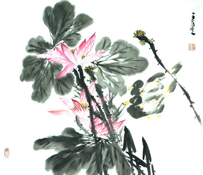 原創(chuàng)寫(xiě)意荷花