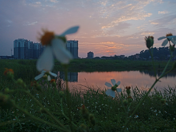 西樵山