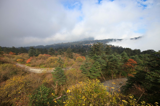 峨眉山秋色云海