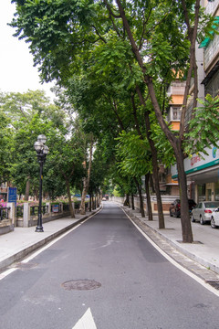 新河浦路街景