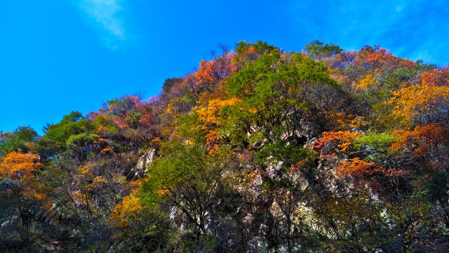 秋季的秦岭