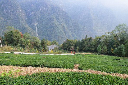 大山风光