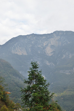 大山风光竖幅