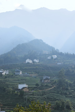 大山风光竖幅