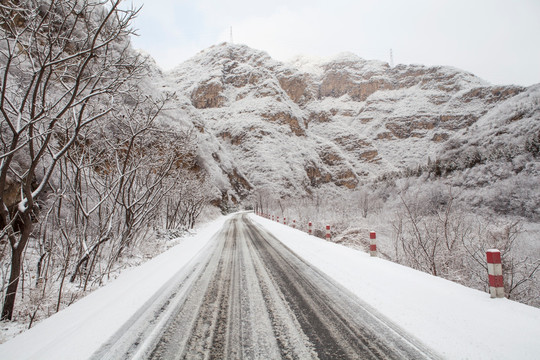 下雪后的道路